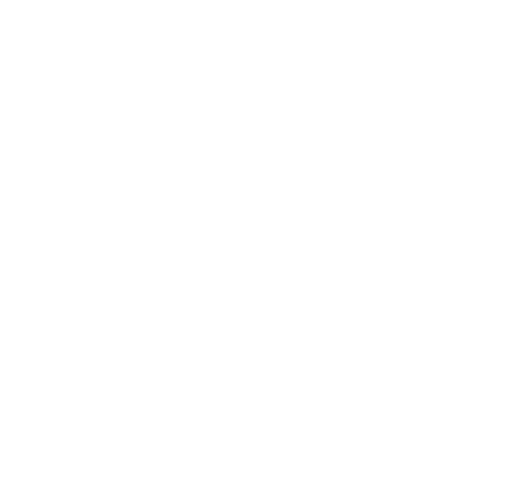 Robert Smith Law Group